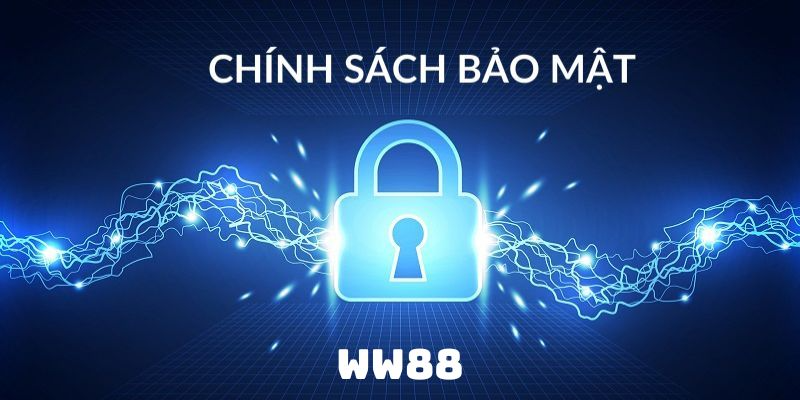 Hệ Thống Bảo Mật Thông Tin Tại WW88 Gồm Những Gì?